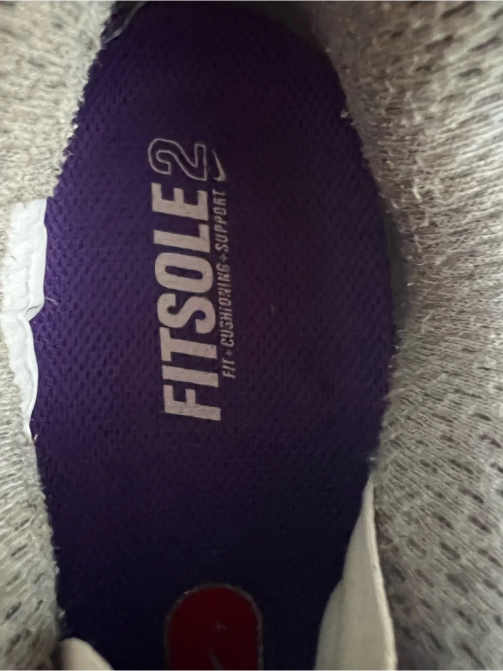 Nike Women's Purple and Silver Athletic Running Sneakers